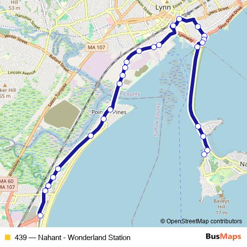 439 bus Line Map