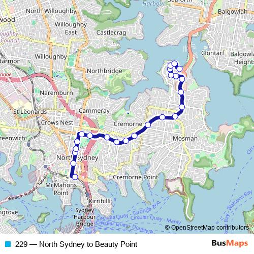 229 bus Line Map