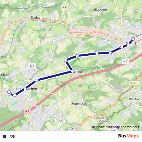 229 bus Line Map