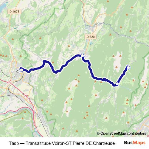 Tasp bus Line Map