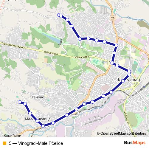 5 bus Line Map