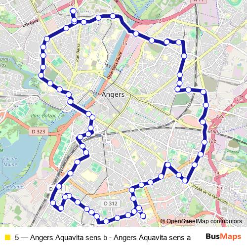 5 bus Line Map