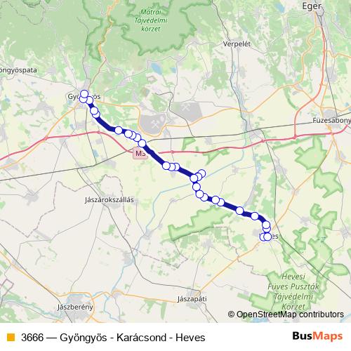 3666 bus Line Map