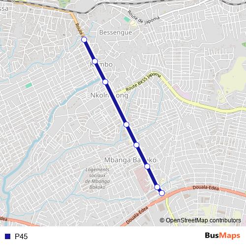 P45 bus Line Map