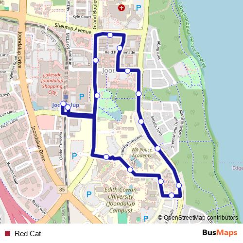 Red Cat bus Line Map