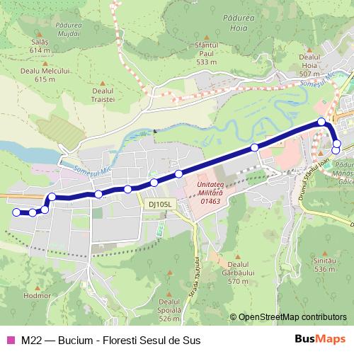 M22 bus Line Map