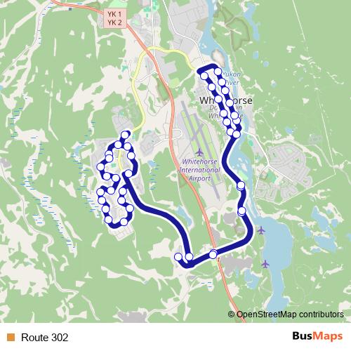 Route 302 bus Line Map