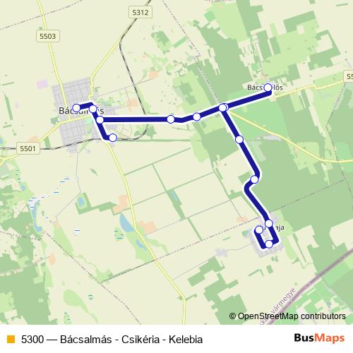 5300 bus Line Map