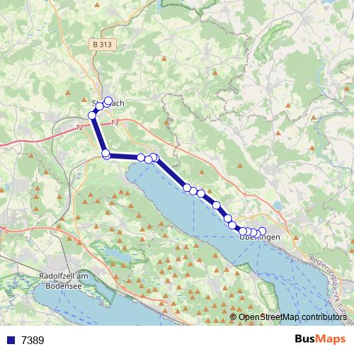 7389 bus Line Map