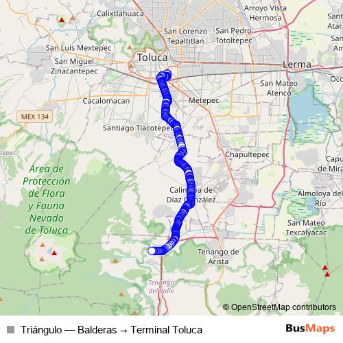 Triángulo bus Line Map