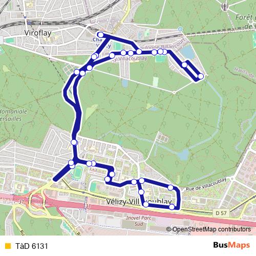 TàD 6131 bus Line Map