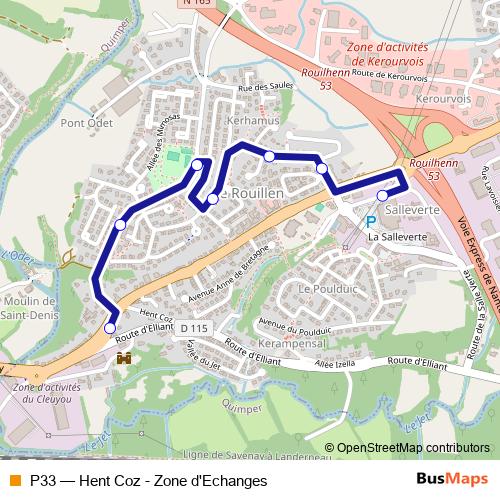 P33 bus Line Map