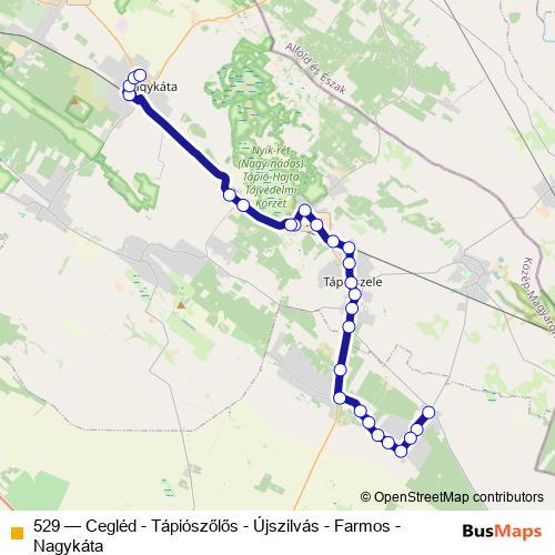 529 bus Line Map