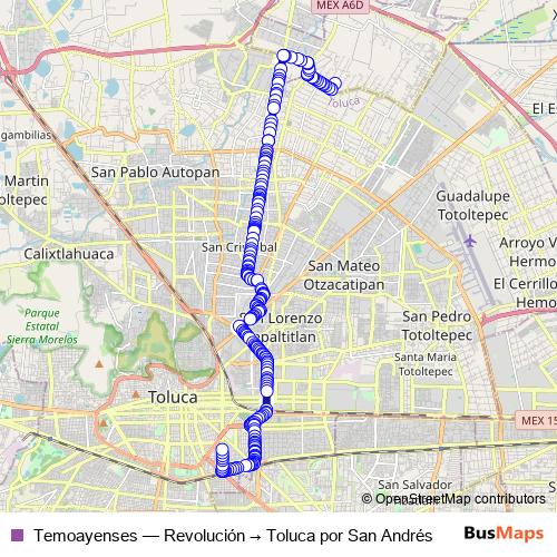 Temoayenses bus Line Map