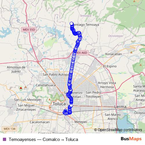 Temoayenses bus Line Map