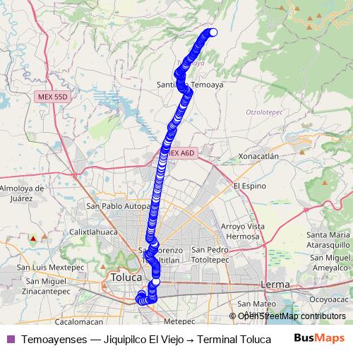 Temoayenses bus Line Map