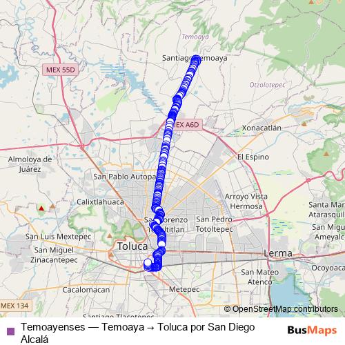Temoayenses bus Line Map
