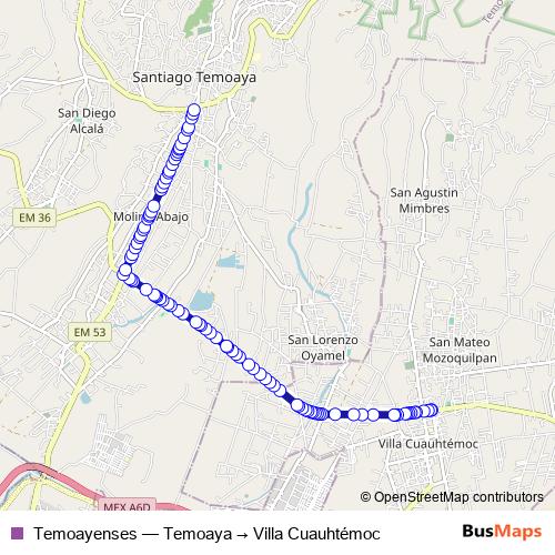 Temoayenses bus Line Map