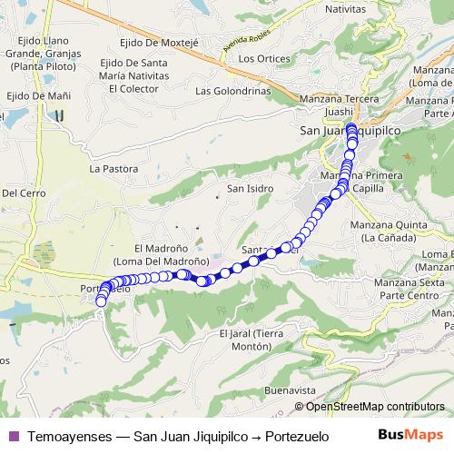Temoayenses bus Line Map