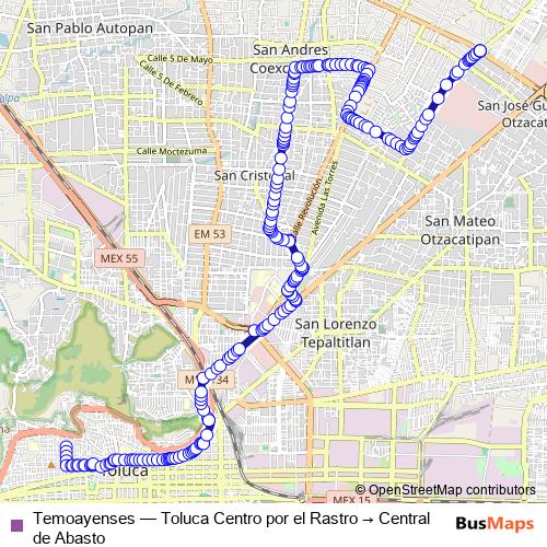 Temoayenses bus Line Map