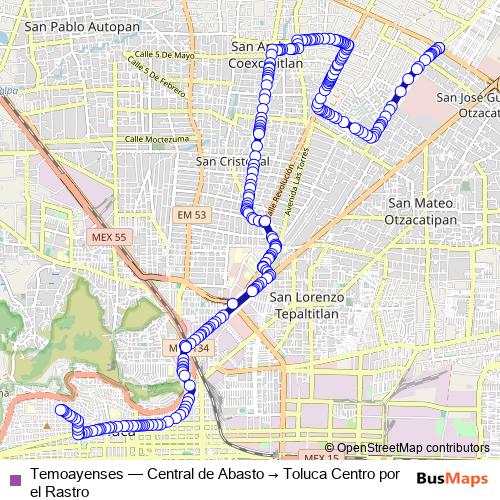Temoayenses bus Line Map