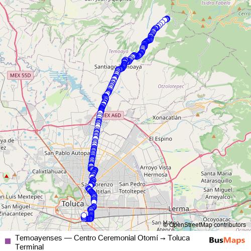 Temoayenses bus Line Map