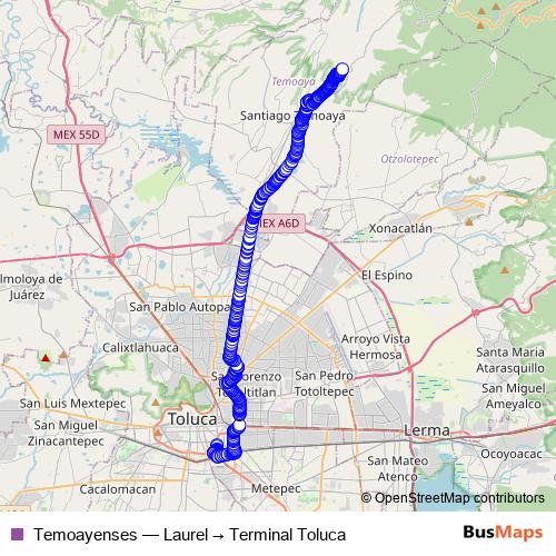 Temoayenses bus Line Map
