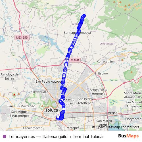 Temoayenses bus Line Map