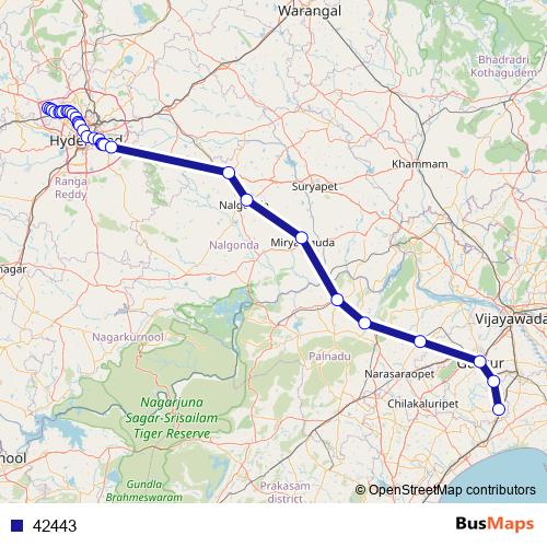 42443 bus Line Map