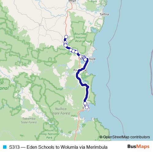 S313 bus Line Map