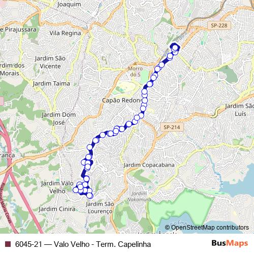 6045-21 bus Line Map