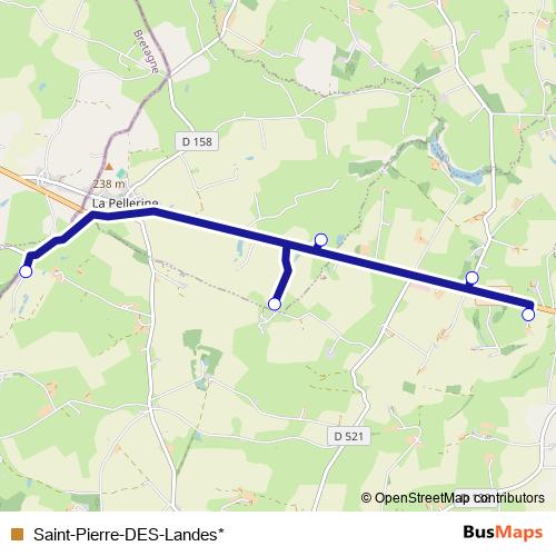 Saint-Pierre-DES-Landes* bus Line Map