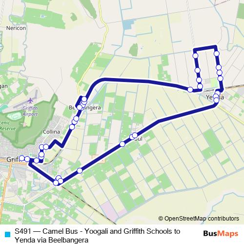 S491 bus Line Map