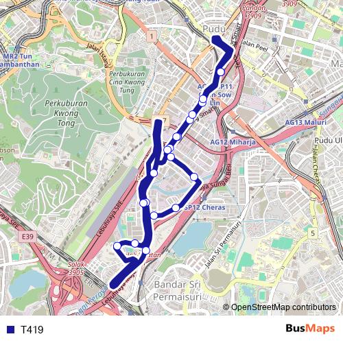 T419 bus Line Map