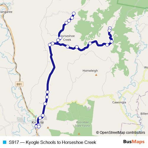 S917 bus Line Map