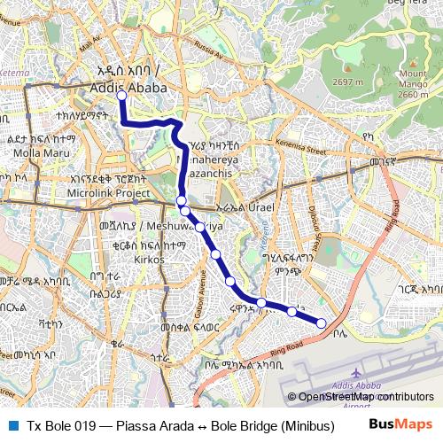 Tx Bole 019 bus Line Map