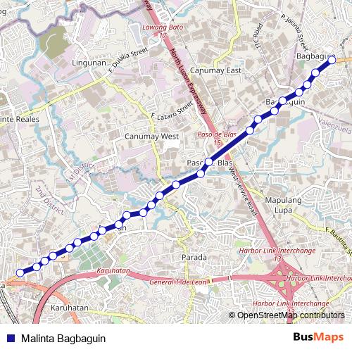 Malinta Bagbaguin bus Line Map