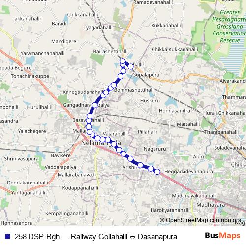 258 DSP-Rgh bus Line Map
