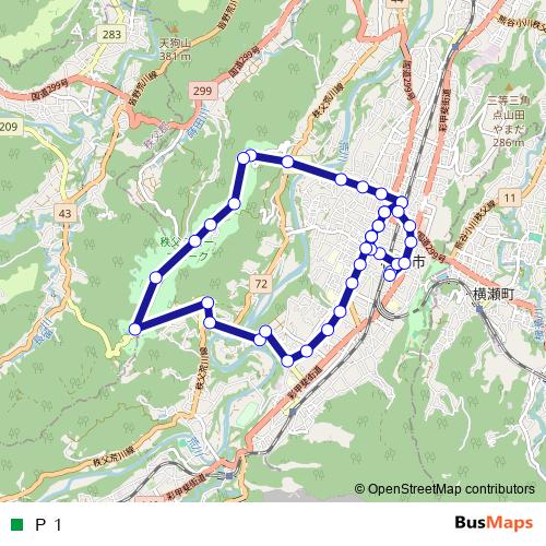 Ｐ１ bus Line Map