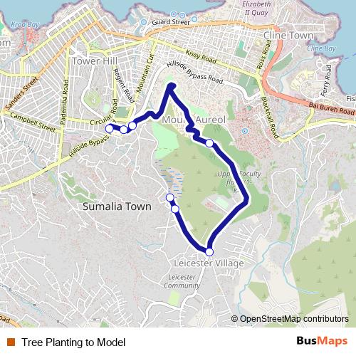 Tree Planting to Model bus Line Map