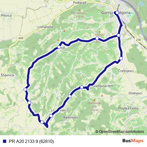 PR A20 2133 9 (62810) bus Line Map