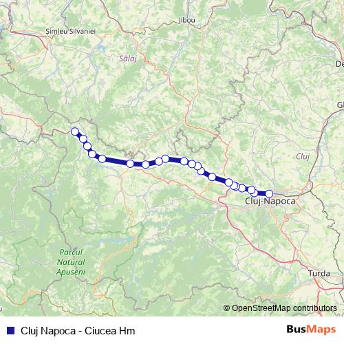 Cluj Napoca - Ciucea Hm bus Line Map