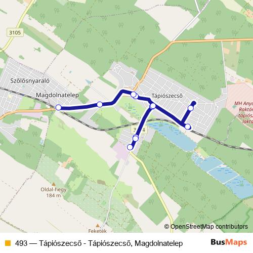 493 bus Line Map