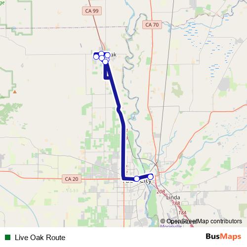 Live Oak Route bus Line Map