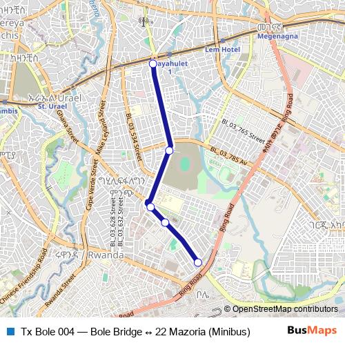 Tx Bole 004 bus Line Map