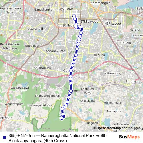 365j-BNZ-Jnn bus Line Map