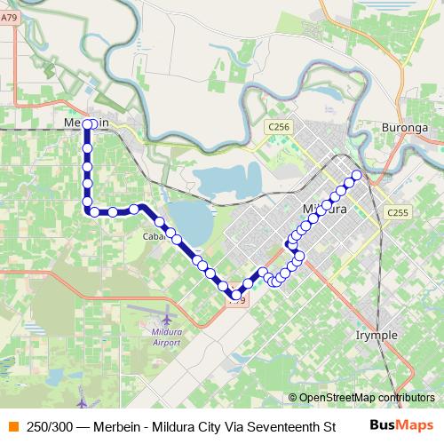 250/300 bus Line Map