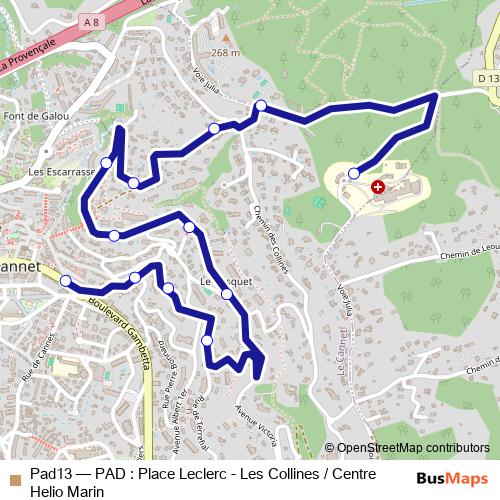 Pad13 bus Line Map