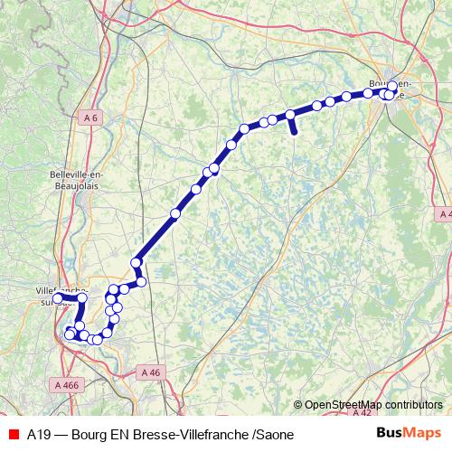 A19 bus Line Map