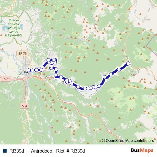 Ri339d bus Line Map